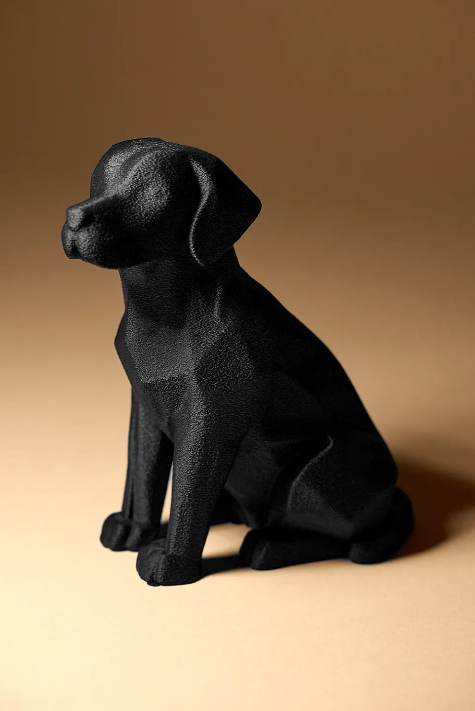 Labrador Decor